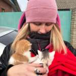 Алиса, фото