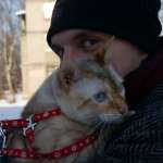 Заказ Шаров, фото