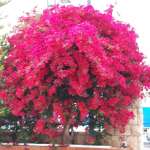 Любовь, фото