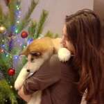 Диана, фото