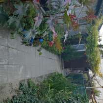 1/2 часть дома в Пашковке, в Краснодаре