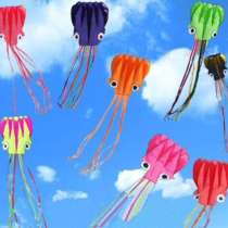 Воздушный змей осьминог, в Москве