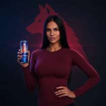 Предложение дилерам энергетиков &mdash; станьте нашим партнёром!, в Улан-Удэ