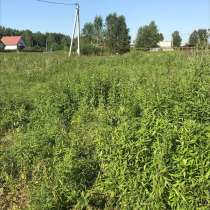 Покос травы, в Калининграде