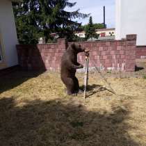 Вакансия главного инженера, в г.Минск