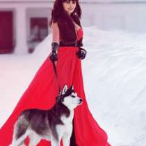 Щеночки сибирской хаски самые лучшие малыши, в Санкт-Петербурге