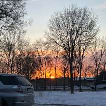 Предлагаю услугу выгул собак, в день за 150-200 руб,инф в лс, в Уссурийске