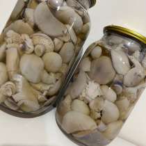 Маринованные грибы синяя ножка?, в Красном Сулине