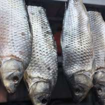 Вяленый карп, в Саратове