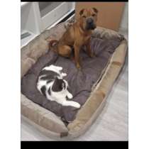 Лежанка для больших собак, в Серпухове