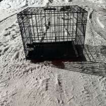 Клетка переноска, в Мурманске