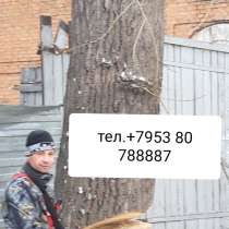 Спил'выкорчовование'вывоз деревьев, в Новосибирске