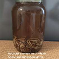 Огневка, ПЖВМ, пчелиное мумиё, мёд с экстрактом пчелиного, в г.Орша