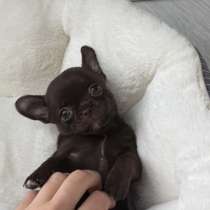 Малышка тип Кобби, в г.Нюрнберг