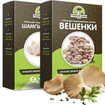 Набор для выращивания грибов Грибной Сезон, в Санкт-Петербурге