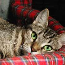 Застенчивая Басилисса мечтает о любящей семье, в Москве