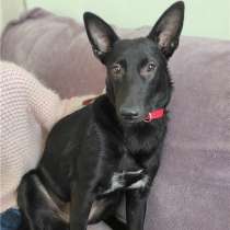 Мелифисента просто красавица!, в Москве