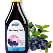 Черника витал (Blueberry Vital) Dr. Dunner AG, в Москве