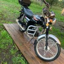 Альфа, в Пскове