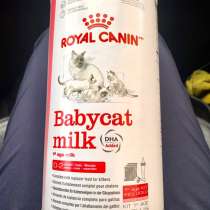 Royal Canin babycat milk, в Санкт-Петербурге