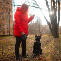 Собаки, объявления Санкт-Петербурга