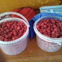 Продаю ягоды: малину, в Чебоксарах