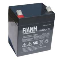 Аккумуляторы герметичные для ИБП FIAMM FG / FGH / FGC, в Екатеринбурге