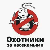 Уничтожение насекомых и грызунов, вирусов, в Иванове