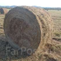 Сено в рулонах, в Чудове