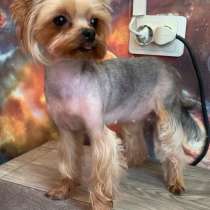 Вязка, в Яхроме