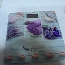 Весы, в Калининграде