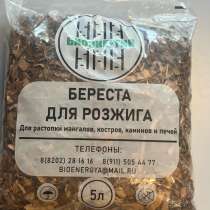 БЕРЕСТА, в Москве