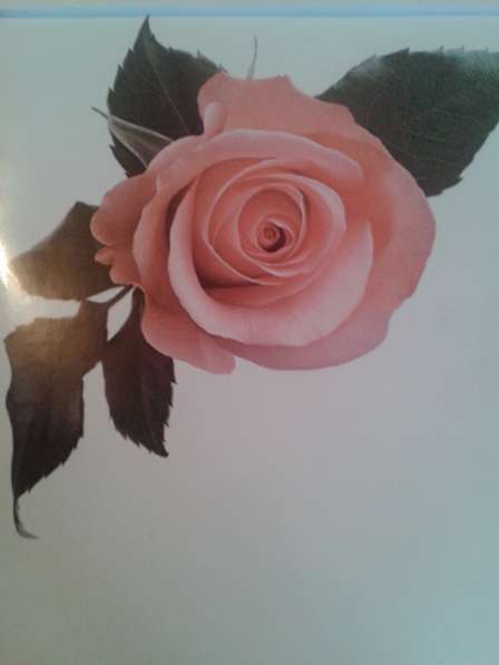 Натяжные потолки в Москве фото 5