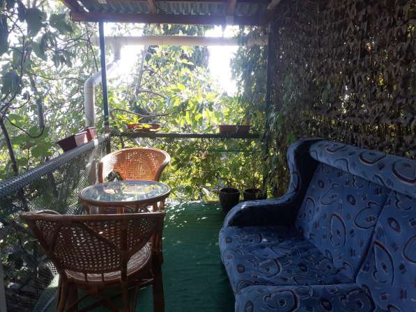 Отдельный номер с двориком в Симеизе в Ялте фото 24