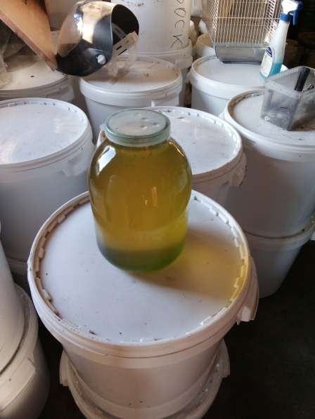 Мёд подсолнечника и акация в Краснодаре