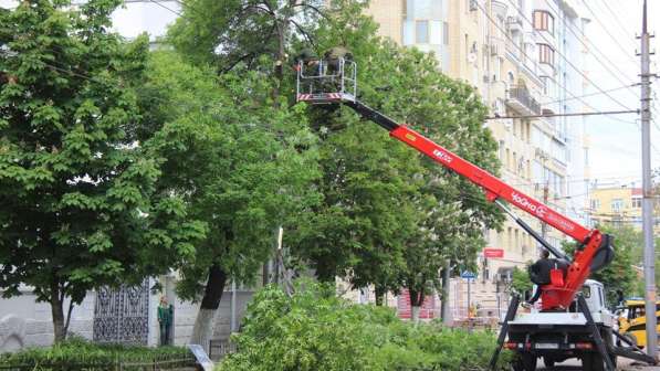 Профессиональный спил деревьев в городе в Видное в Видном