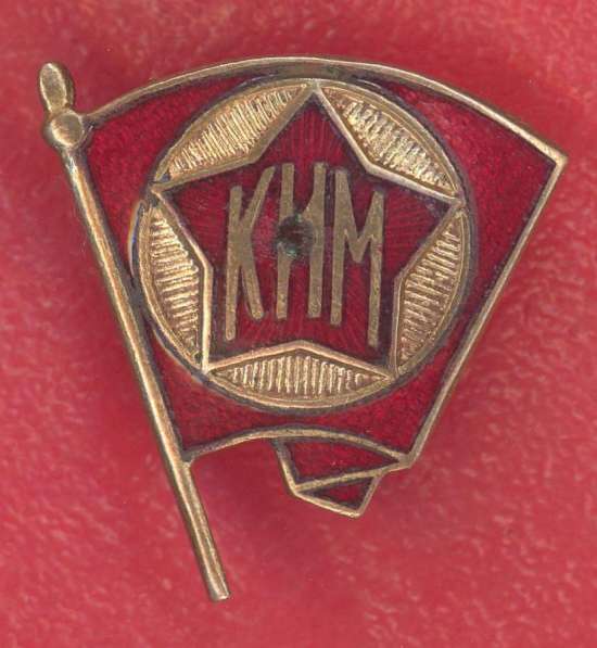 СССР членский знак КИМ образца 1922 г. винт комсомол ВЛКСМ