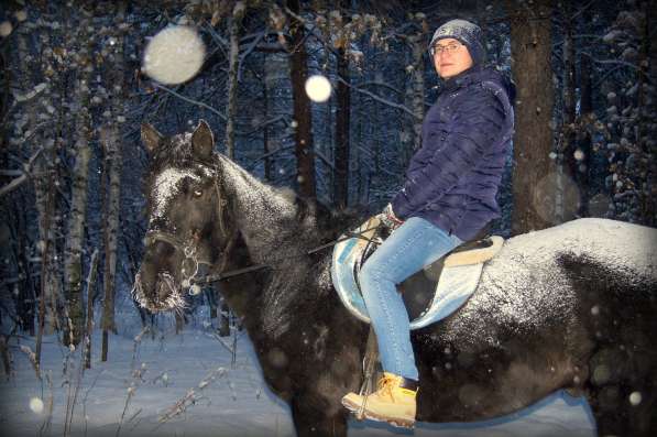 Лесные фотосессии с лошадьми и пони в Екатеринбурге