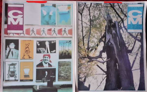 Журнал "Сельская молодежь" 1982г. Полный годовой комплект в фото 5