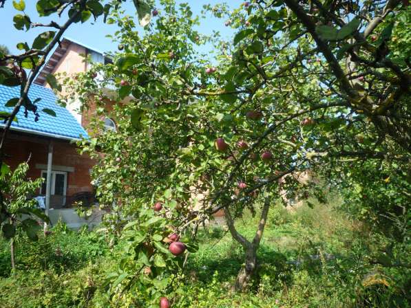 Кирпичный дом в г. Козельске, Калужской обл., 270 км от МКАД в Белгороде фото 4