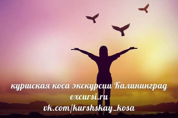 Экскурсии из Санкт Питербурга 