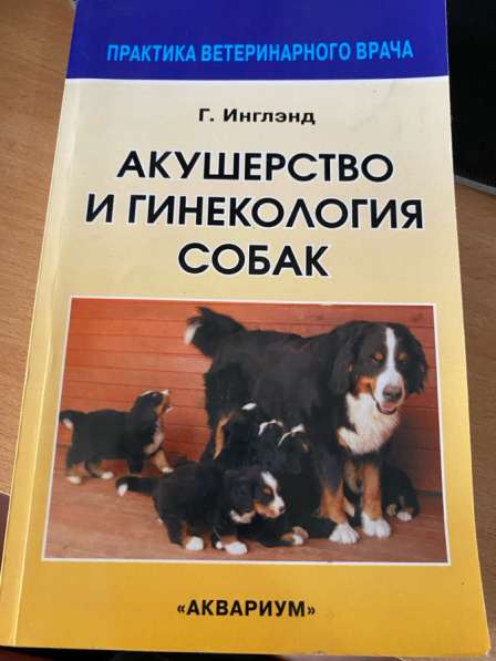 Продам книги по ветеринарии в Братске фото 13