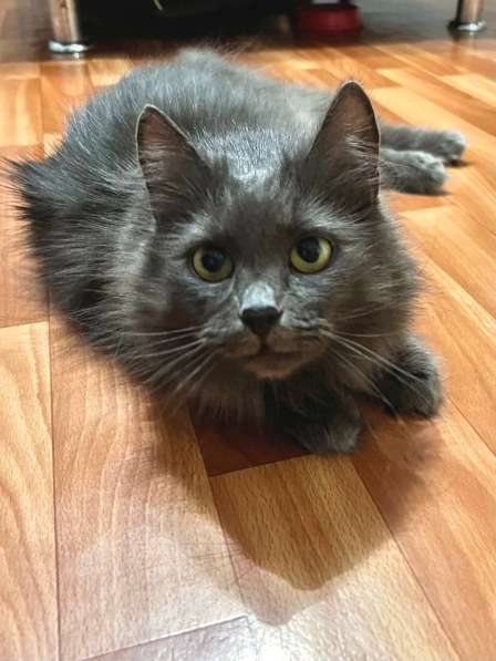 Шикарная Марси в фото 4