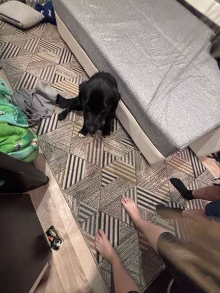 Мальчишка в добрые руки