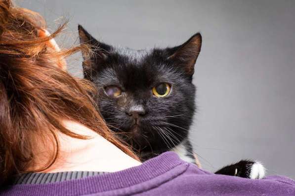 Котя ищет дом в Москве фото 4