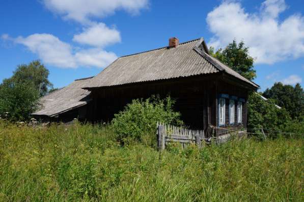 Бревенчатый дом в тихой деревне, рядом с рекой и лесом в Мышкине фото 19