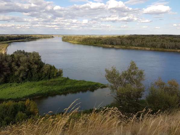 Земельный участок на берегу Дона в Иловле фото 10