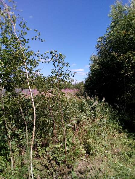 Участок 12 соток, 35 км от МКАД в Москве фото 12