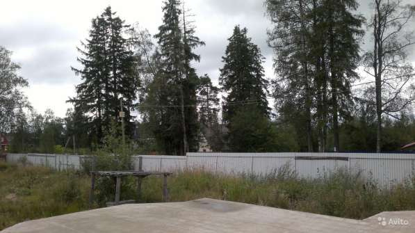 Участок 12 сот. (ИЖС) в Санкт-Петербурге фото 29