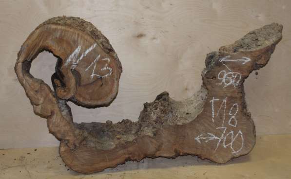 Поперечные спилы карагач, влажность 6-8%